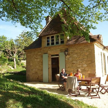 Cozy Cottage In Aquitaine With Private Swimming Pool Peyzac-le-Moustier Esterno foto