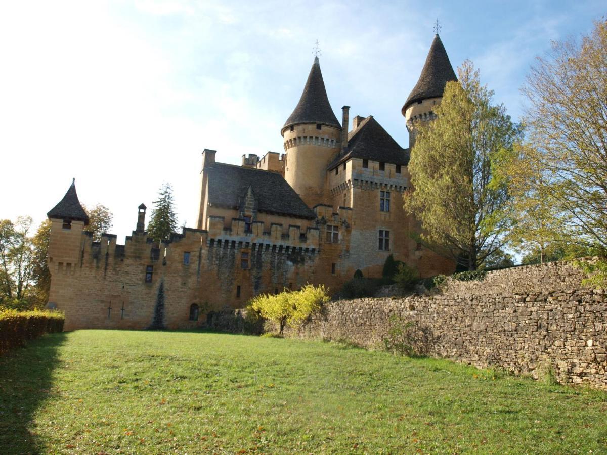 Cozy Cottage In Aquitaine With Private Swimming Pool Peyzac-le-Moustier Esterno foto